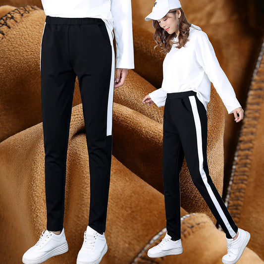 Winter Cashmere Sport Pants