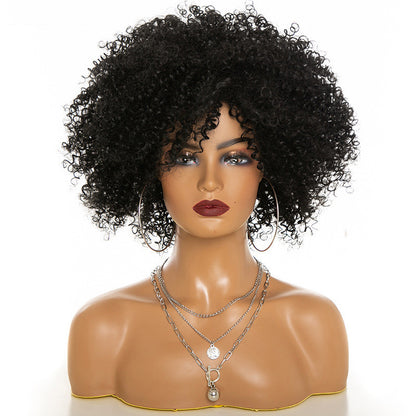 Afro Kinky Curly Wig  Natural Look