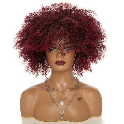 Afro Kinky Curly Wig  Natural Look