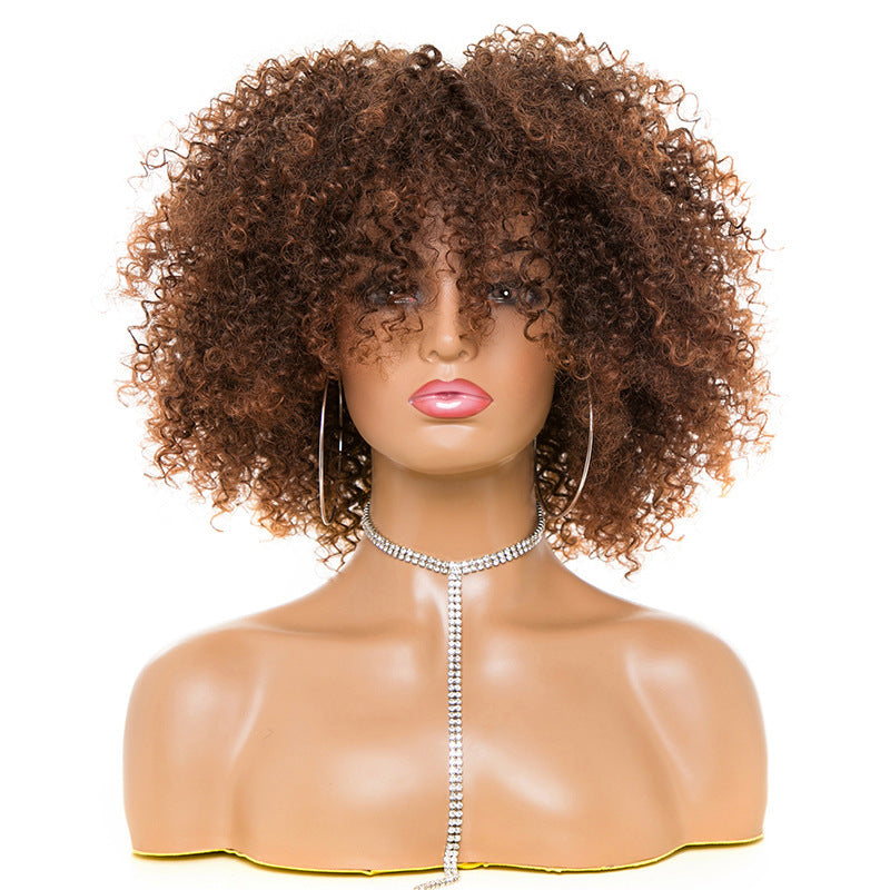 Afro Kinky Curly Wig  Natural Look